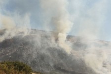 بخش وسیعی از اراضی ملی در هرسین در آتش سوخت+عکس و فیلم