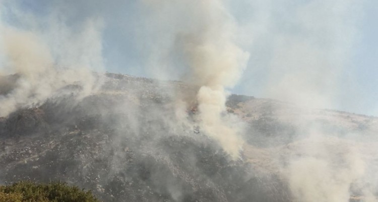 بخش وسیعی از اراضی ملی در هرسین در آتش سوخت+عکس و فیلم