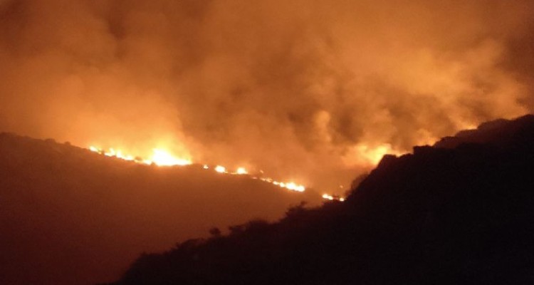 حدود 35هکتار از اراضی ملی در هرسین طعمه حریق شد