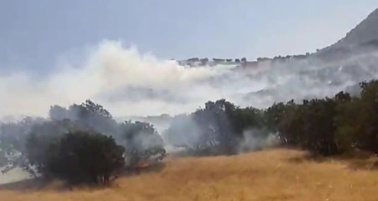 مراتع روستای بالاندر هرسین طعمه حریق شد