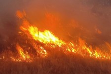 حریق مراتع روستای چنار با کمک مردم مهار شد+عکس و فیلم
