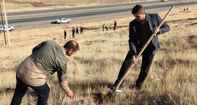 اجرای طرح تولید و کاشت نهال در هرسین+عکس و فیلم