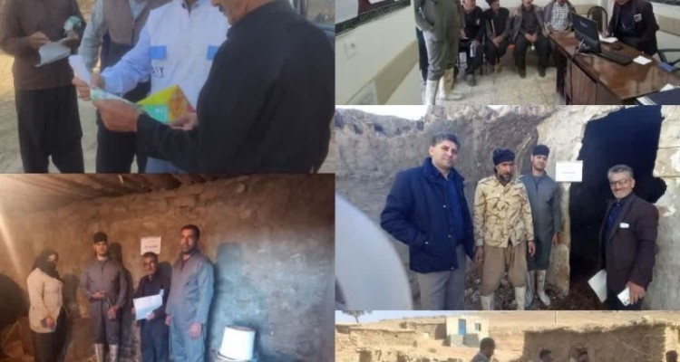 برگزاری28 دوره آموزش مقابله با تب‌برفکی درهرسین