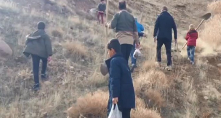 پویش کاشت بذر بلوط در اراضی جنگلی هرسین