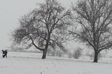 تصاویر زیبا از بارش برف در هرسین