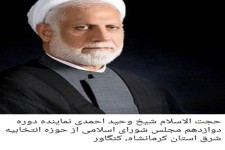 وحید احمدی با بیشترین آراء به مجلس راه یافت