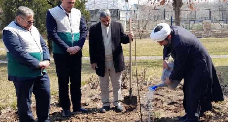 غرس 250اصله نهال در شهرستان هرسین