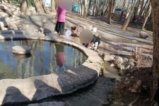 برداشتن حصارکشی و شستشوی قالی در سراب هرسین!