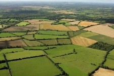 صدور ۵۶۰ هکتار اسناد تک برگ در شهرستان هرسین