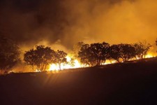 آتش سوزی در جنگل های روستای بالاندر هرسین مهار شد