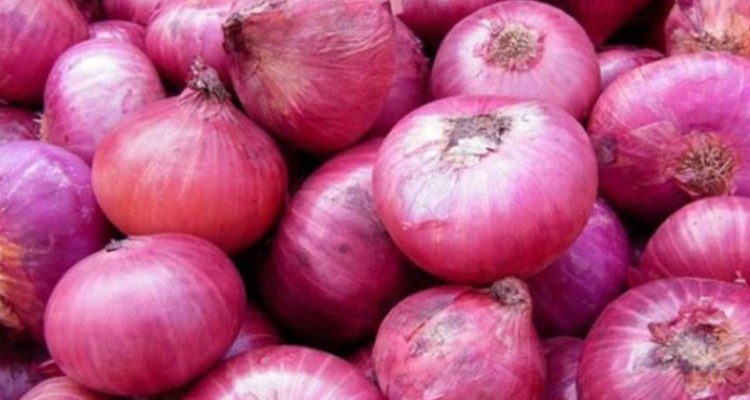 پیش بینی برداشت 10هزار تن پیاز از مزارع هرسین