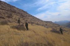 آثاری از قطع گسترده پوشش گیاهی در کوه زرین مشلعده نشد