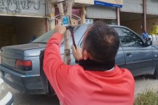 3700 اصله درخت در هرسین پلاک کوبی شده اند