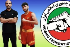 نائب قهرمانی ووشوکار هرسینی در مسابقات قهرمانی کشور
