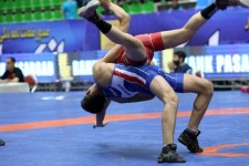 سرپرست هیئت کشتی هرسین منصوب شد