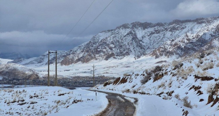 تصاویر زیبا از بارش برف در هرسین