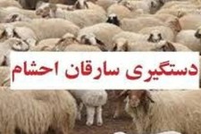 دستبند پليس هرسين بر دستان سارق احشام