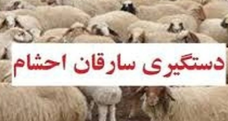 دستبند پليس هرسين بر دستان سارق احشام