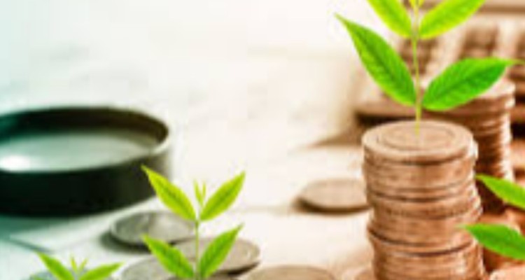 توزیع عادلانه ثروت ، درمان آسیب های اقتصادی