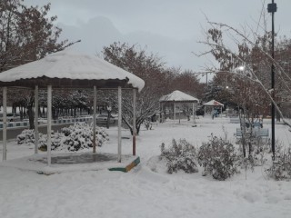 تصاویر زیبا از بارش برف در هرسین