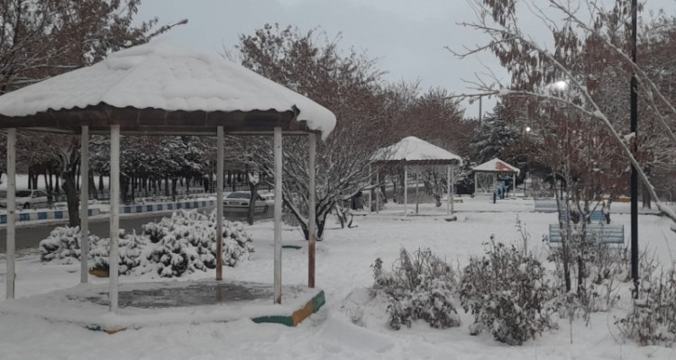 تصاویر زیبا از بارش برف در هرسین