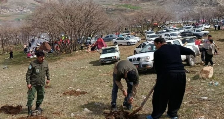 پویش سرو ایران در جنگل سراب بادیه هرسین