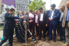 غرس ۳۰ اصله نهال در جوار امامزاده باقر(ع) بیستون+تصویر