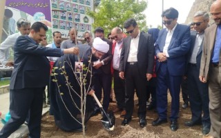 غرس ۳۰ اصله نهال در جوار امامزاده باقر(ع) بیستون+تصویر