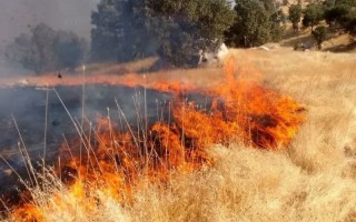 هشدار اداره منابع طبیعی هرسین به کشاورزان؛ از آتش زدن بقایای گیاهی خودداری کنید