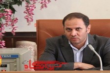 اراده اعضای شورای تامین شهرستان بر شناسایی و برخورد سریع و قاطع با افراد مهاجم است