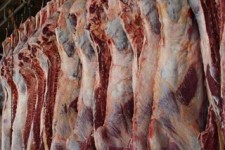 اولین محموله گوشت گرم گوسفندی روز گذشته در هرسین توزیع شد