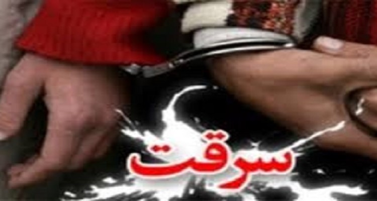 کشف 46 فقره سرقت در هرسین