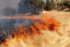 هشدار اداره منابع طبیعی هرسین به کشاورزان؛ از آتش زدن بقایای گیاهی خودداری کنید
