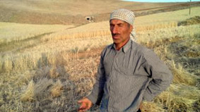 نارضایتی کشاورزان هرسین از عدم حمایت دولت و خدمات بیمه ای /  وقتی شعارهای دولتی ها محقق نمی شود