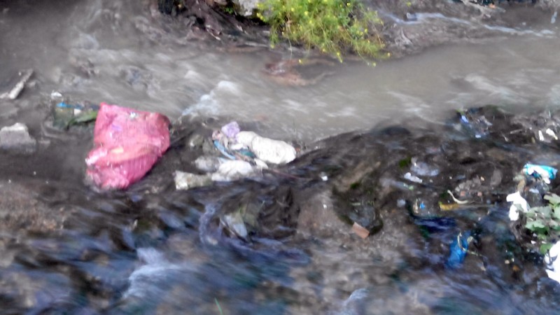 آبیاری با فاضلاب مهمترین مشکل زیست محیطی هرسین/وقتی سبزیجات طعم فاضلاب به خود می گیرند