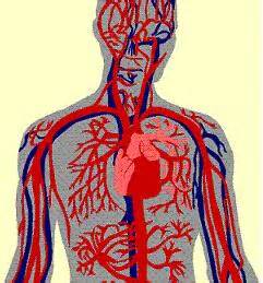 عواطف انسانی که ارگان های بدن را ضعیف می کنند...