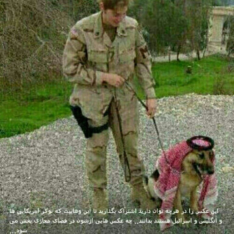 هرگز يك سگ تازي ، سگ گله نمي شود...