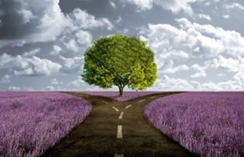 در این مسابقه برنده باشید