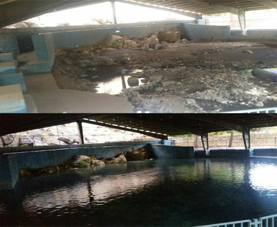 افزایش بیش از 1000درصدی دبی آب سراب هرسین/ مسدود کردن 35حلقه چاه در محدوده بیستون