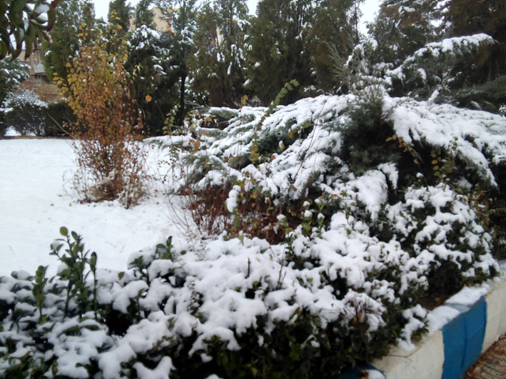 بارش اولین برف پاییزی هرسین را سفید پوش کرد+تصویر