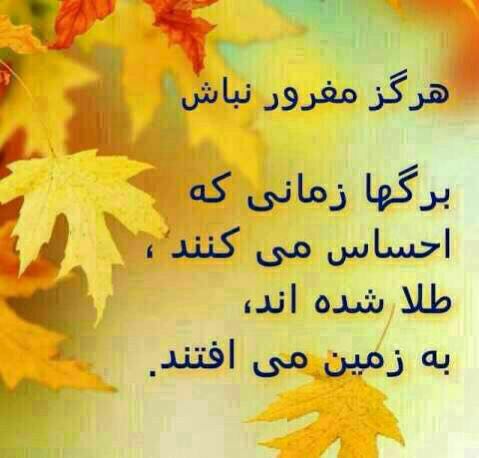 مغرور نباش !