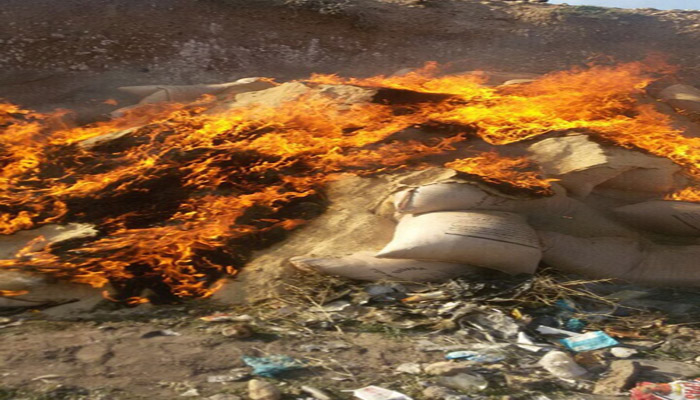 جمع آوری و معدوم سازی بیش از چهار تن خوراک دام آلوده در شهرستان هرسین 