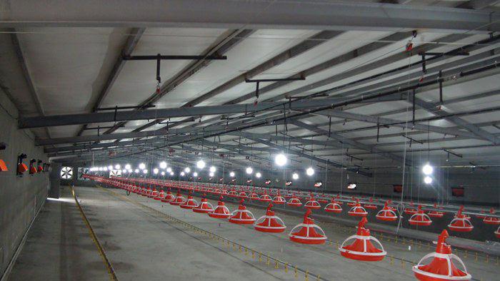 افتتاح یک واحد توليد مرغ  گوشتي 20 هزار قطعه اي با اعتبار 6 ميليارد  و 600 ميليون ريال 