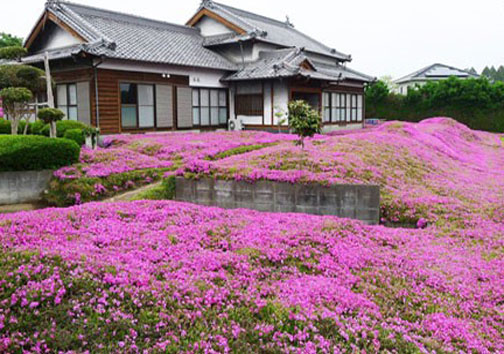 دوست داشتنی ترین شوهر دنیا! +عکس 