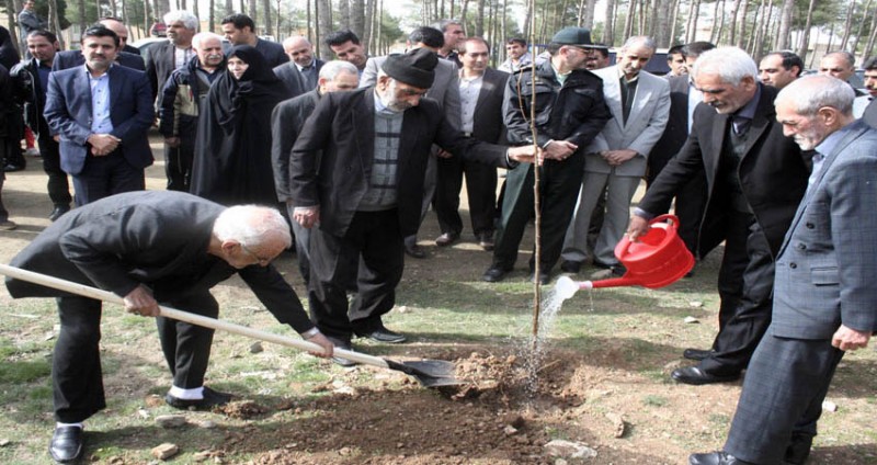 غرس 220اصله نهال به یاد شهدای شهرستان هرسین+تصویر غرس 220اصله نهال به یاد شهدای شهرستان هرسین+تصویر