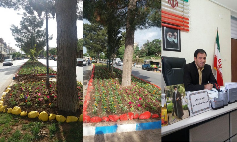 کاشت 9هزار گلدان به مبلغ 90میلیون ریال در سطح شهر هرسین+تصویر