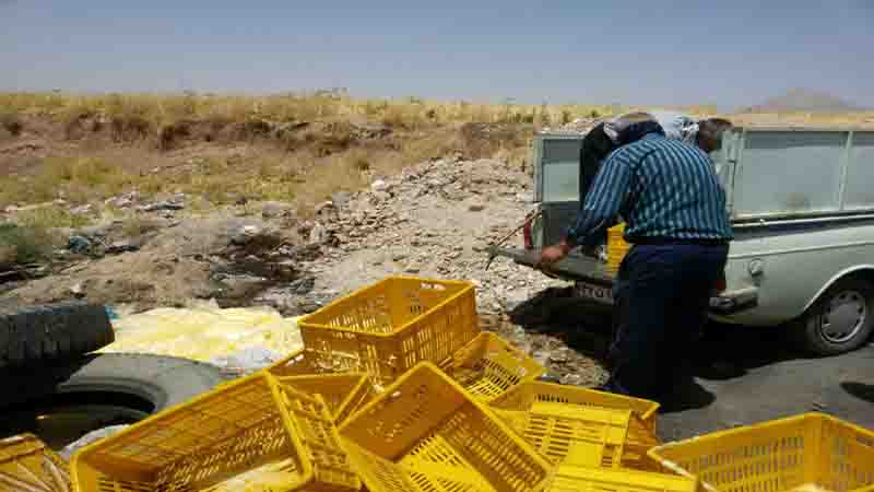 معدوم سازی 840 کیلوگرم خامه خام توقیفی در بخش بیستون