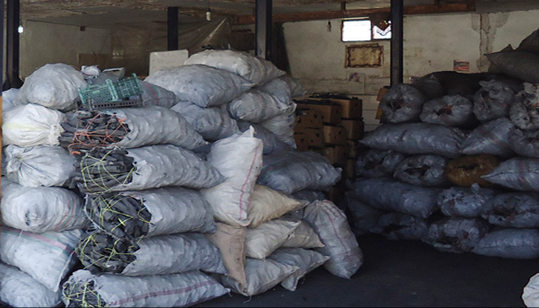 کشف و توقیف 40کیسه زغال  در مبادی ورودی هرسین