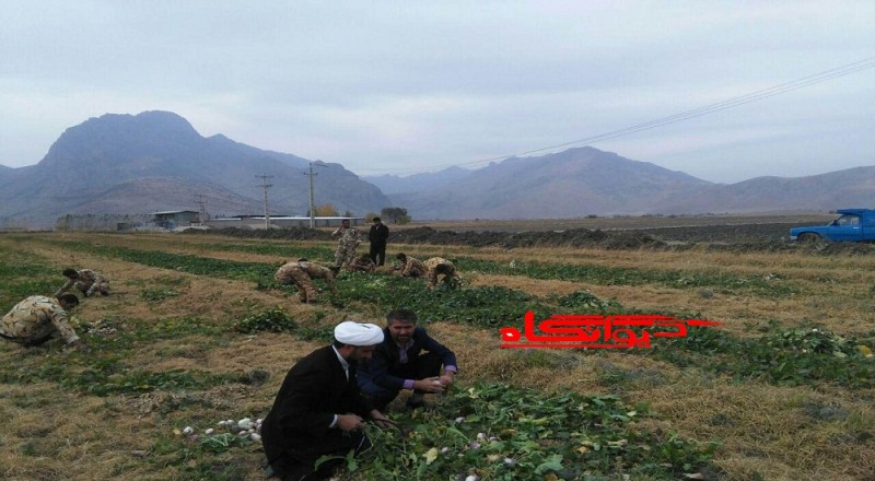 کشاورز روستایی در بخش بیستون محصول زمین خود را وقف زوار امام حسین(ع) کرد