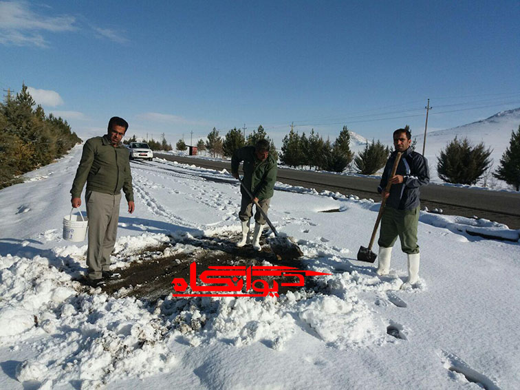 دانه پاشی برای پرندگان توسط اداره محیط زیست در هرسین +تصویر دانه پاشی برای پرندگان توسط اداره محیط زیست در هرسین +تصویر